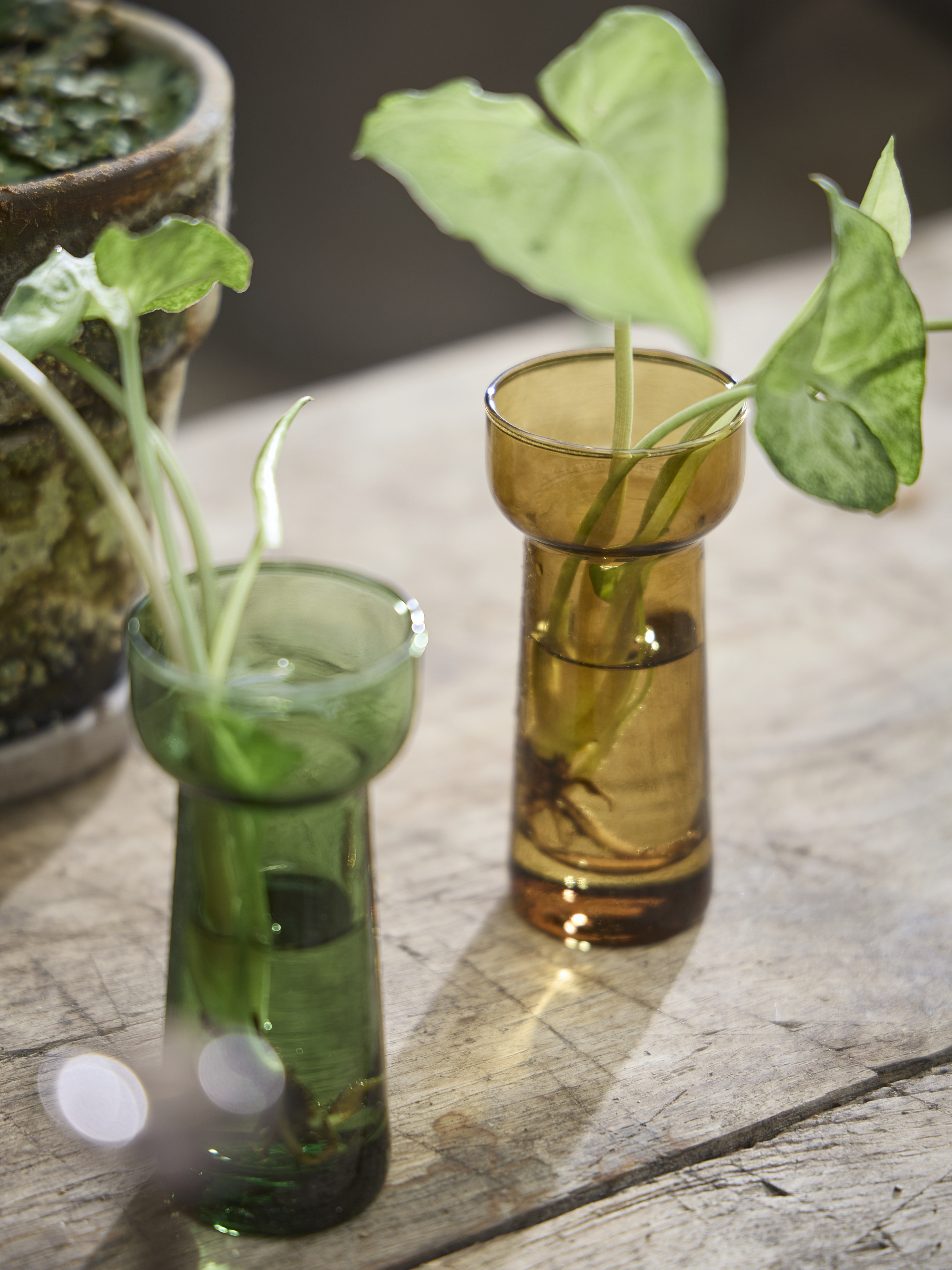 Spring Preparations Sostrene Grene Available From 5 March 2026 (16)