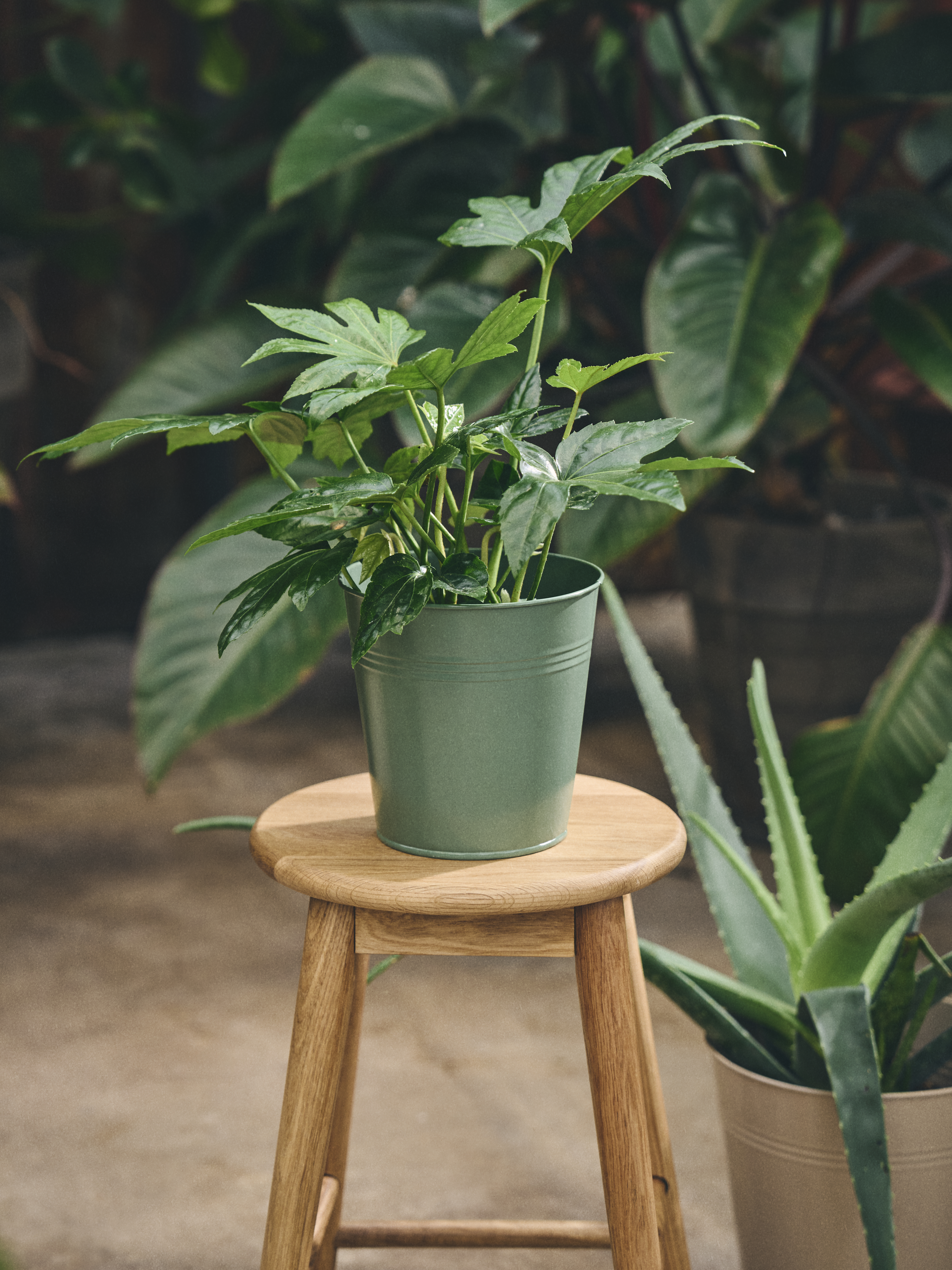 Available From 19 March 2026 Outdoor Living Sostrene Grene (50)