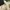 A Softer Reality Available From 27 August 2026 (39)_AI-modified content