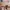 Sostrene Grene Marketing Images (17)