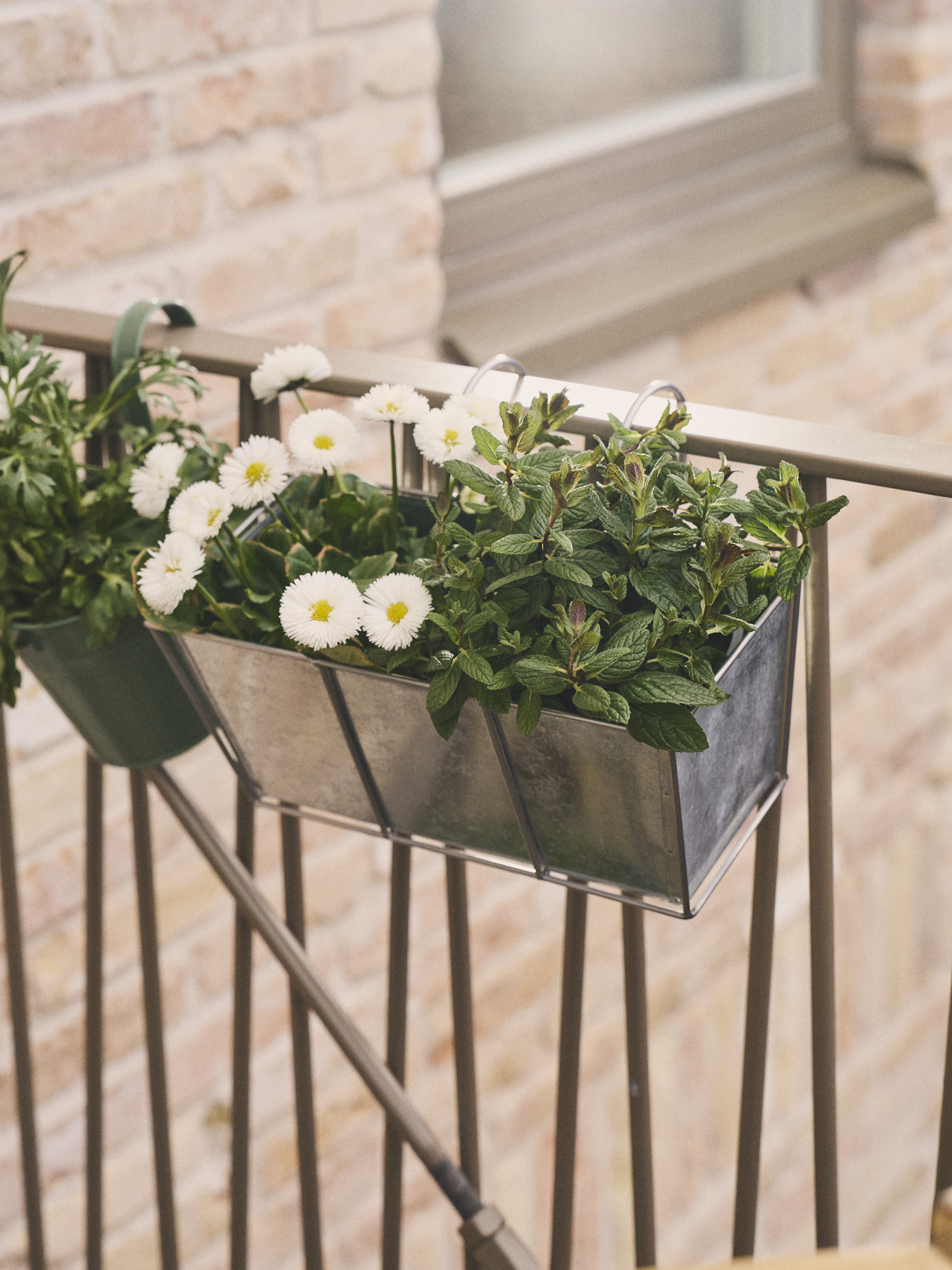 Available From 19 March 2026 Outdoor Living Sostrene Grene (66)