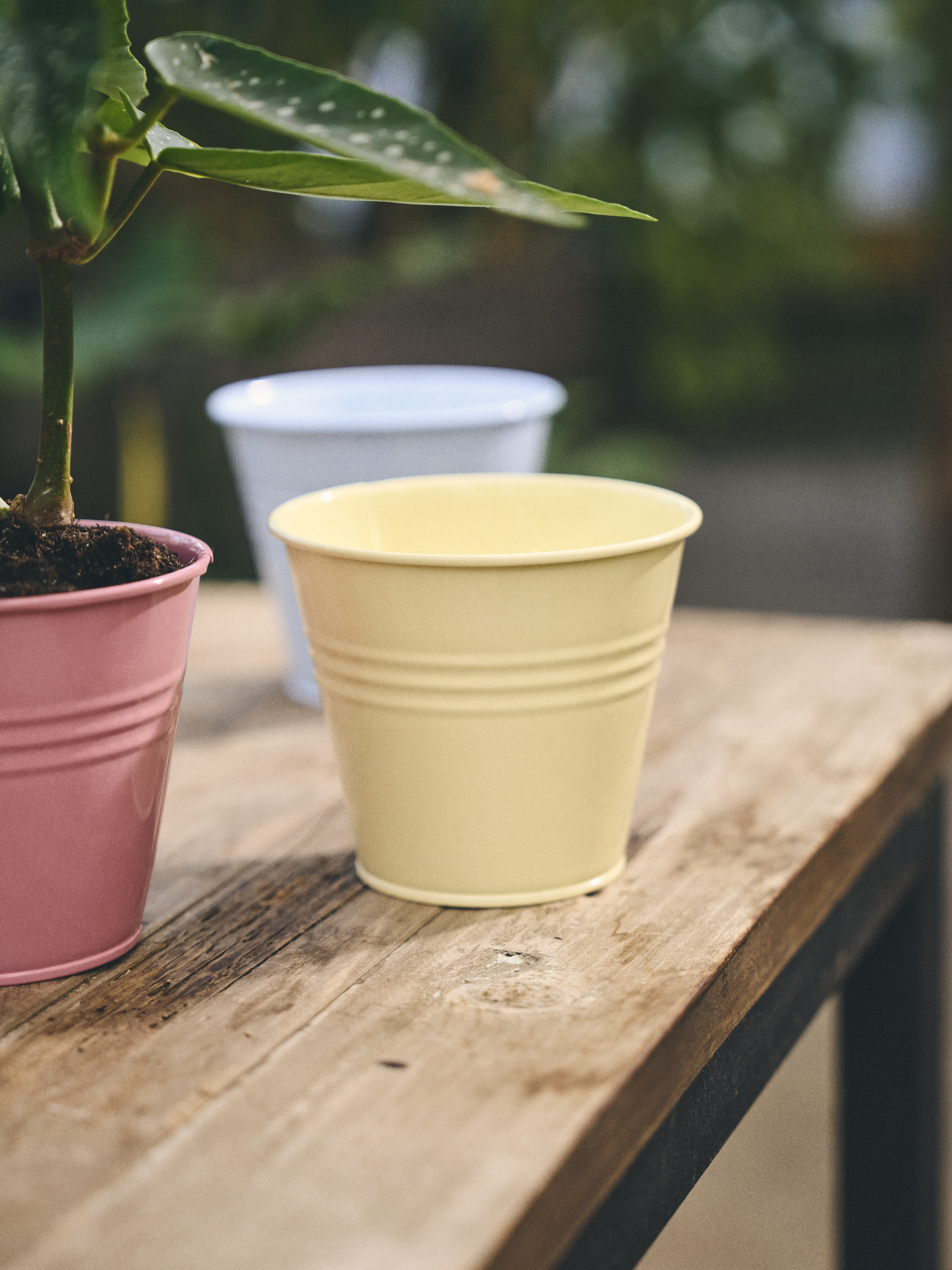 Available From 19 March 2026 Outdoor Living Sostrene Grene (29)