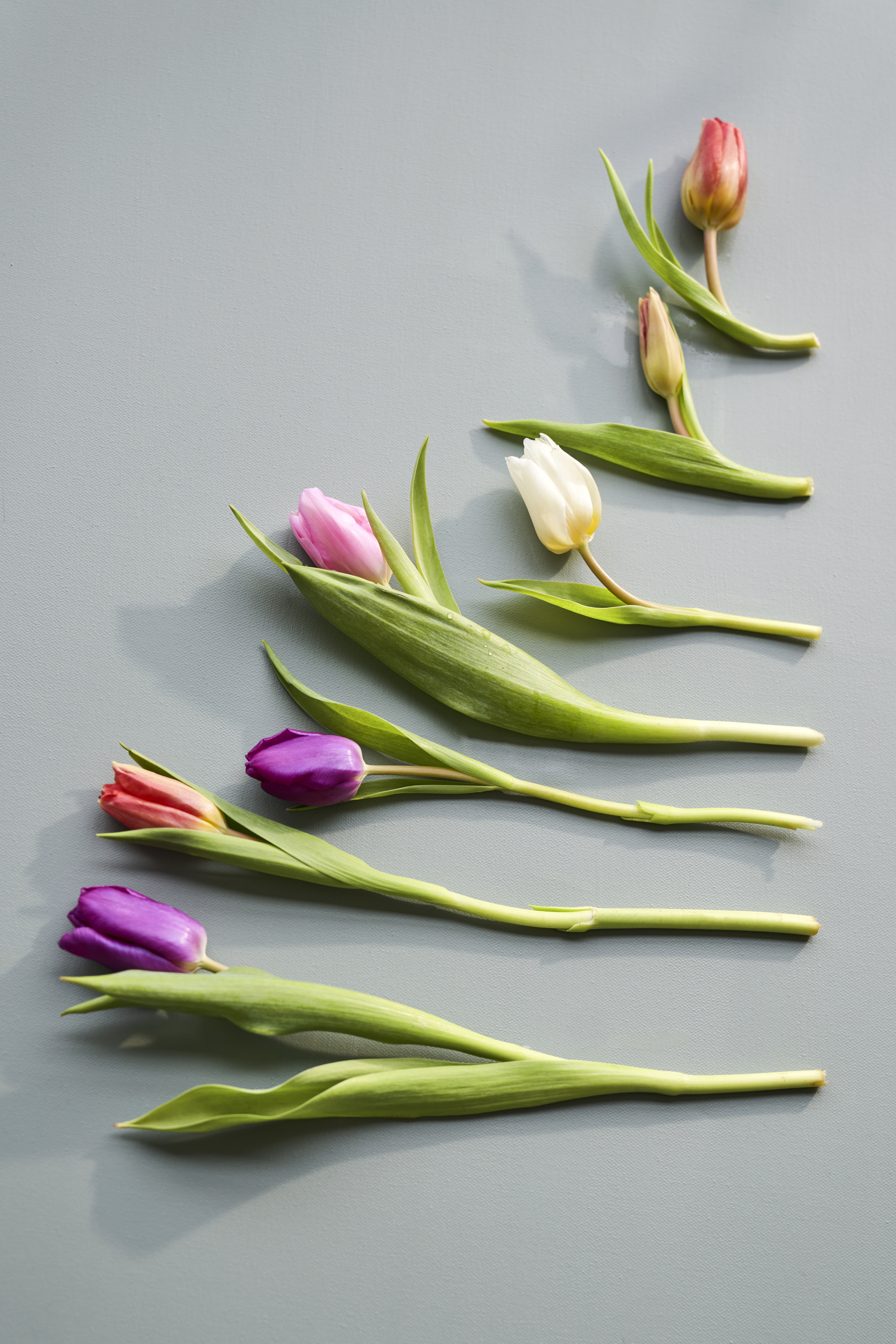 7 Splendid Easter Decorations Easter At Sostrene Grene (9)