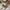 A Softer Reality Available From 27 August 2026 (58)