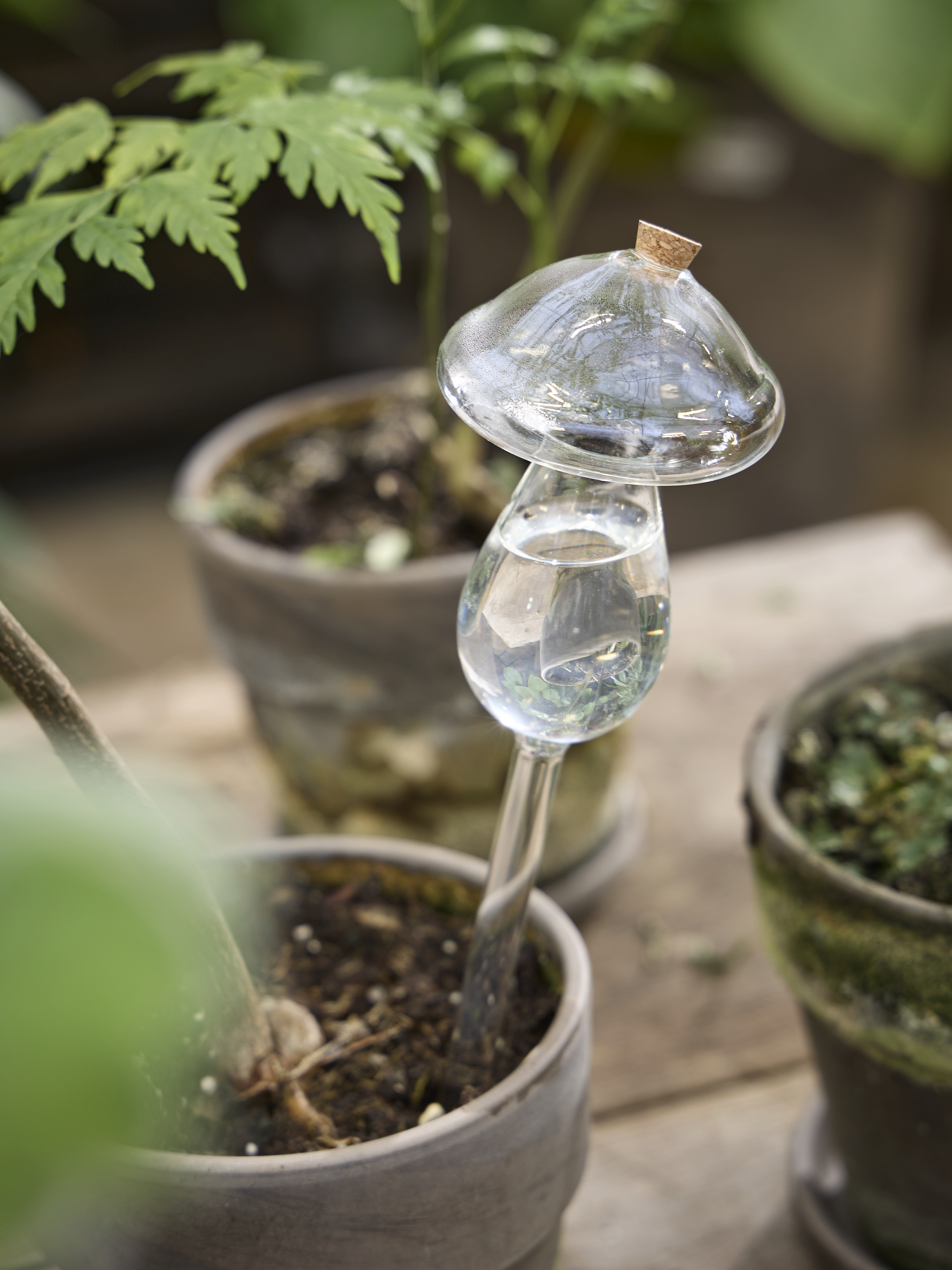 Available From 5 March 2026 Spring Preparations Sostrene Grene (15)