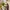 New Artificial Flowers Sostrene Grene Available From 31 July 2025 (5)