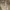 A Softer Reality Available From 27 August 2026 (74)