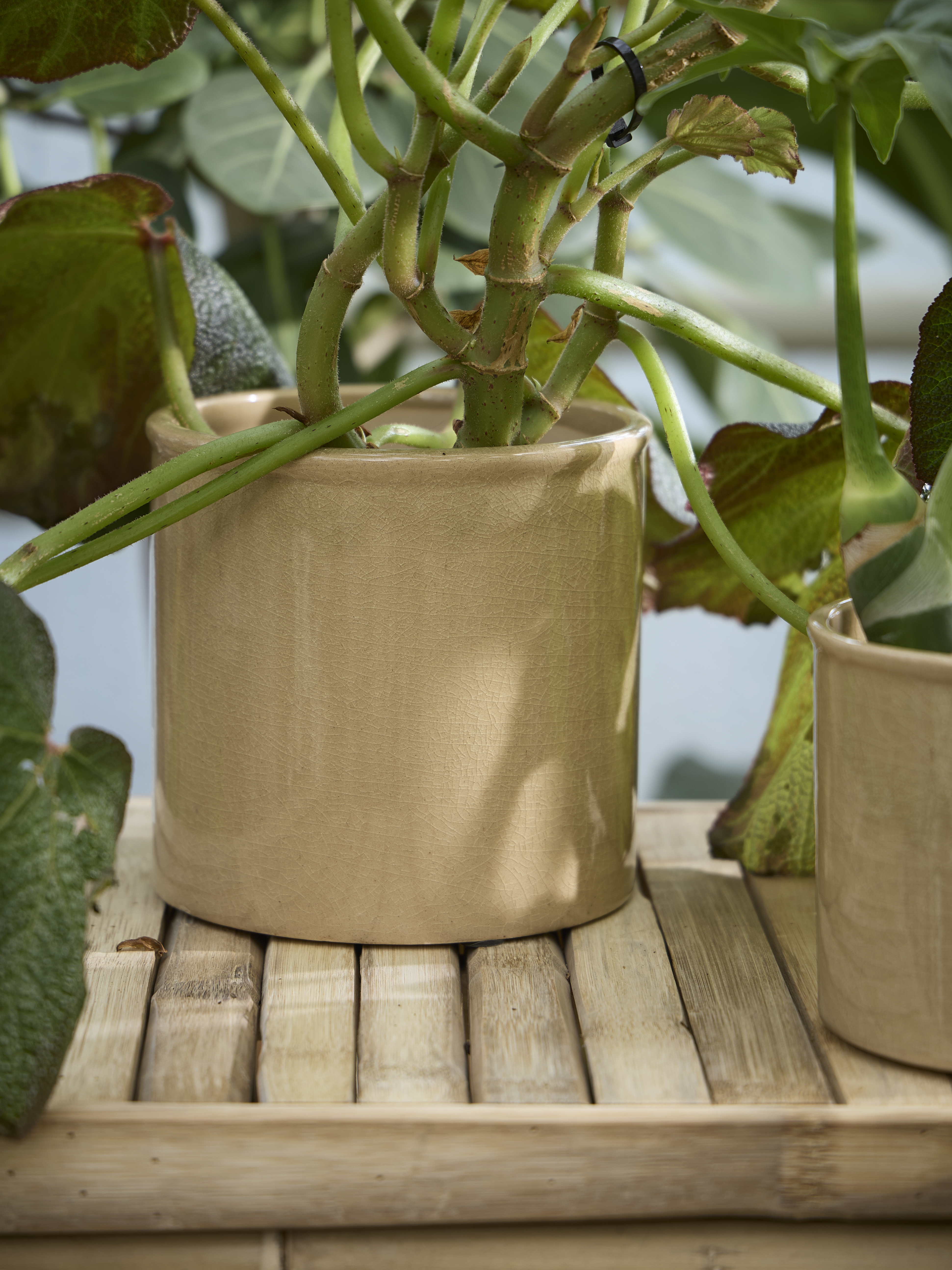 Spring Preparations Sostrene Grene Available From 5 March 2026 (6)