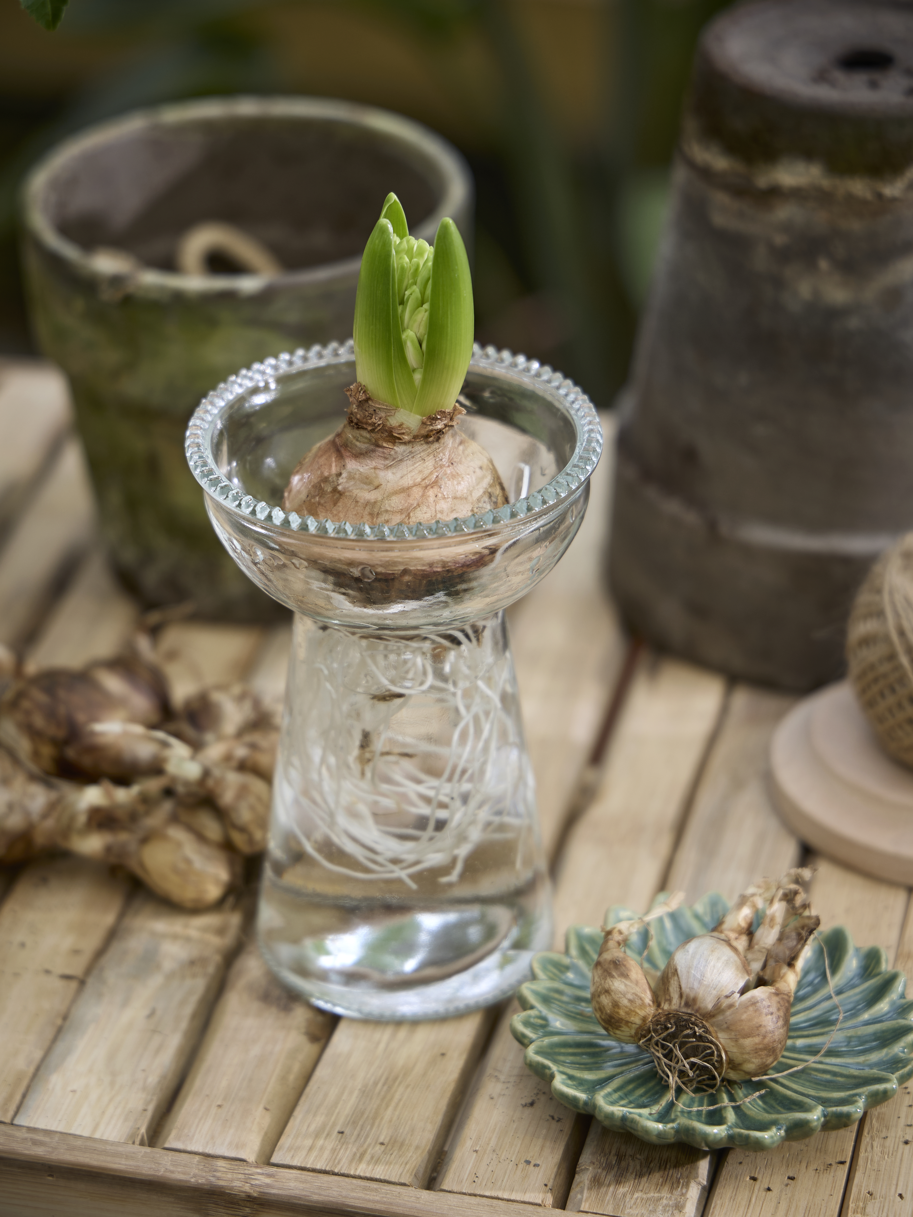 Available From 5 March 2026 Spring Preparations Sostrene Grene (25)