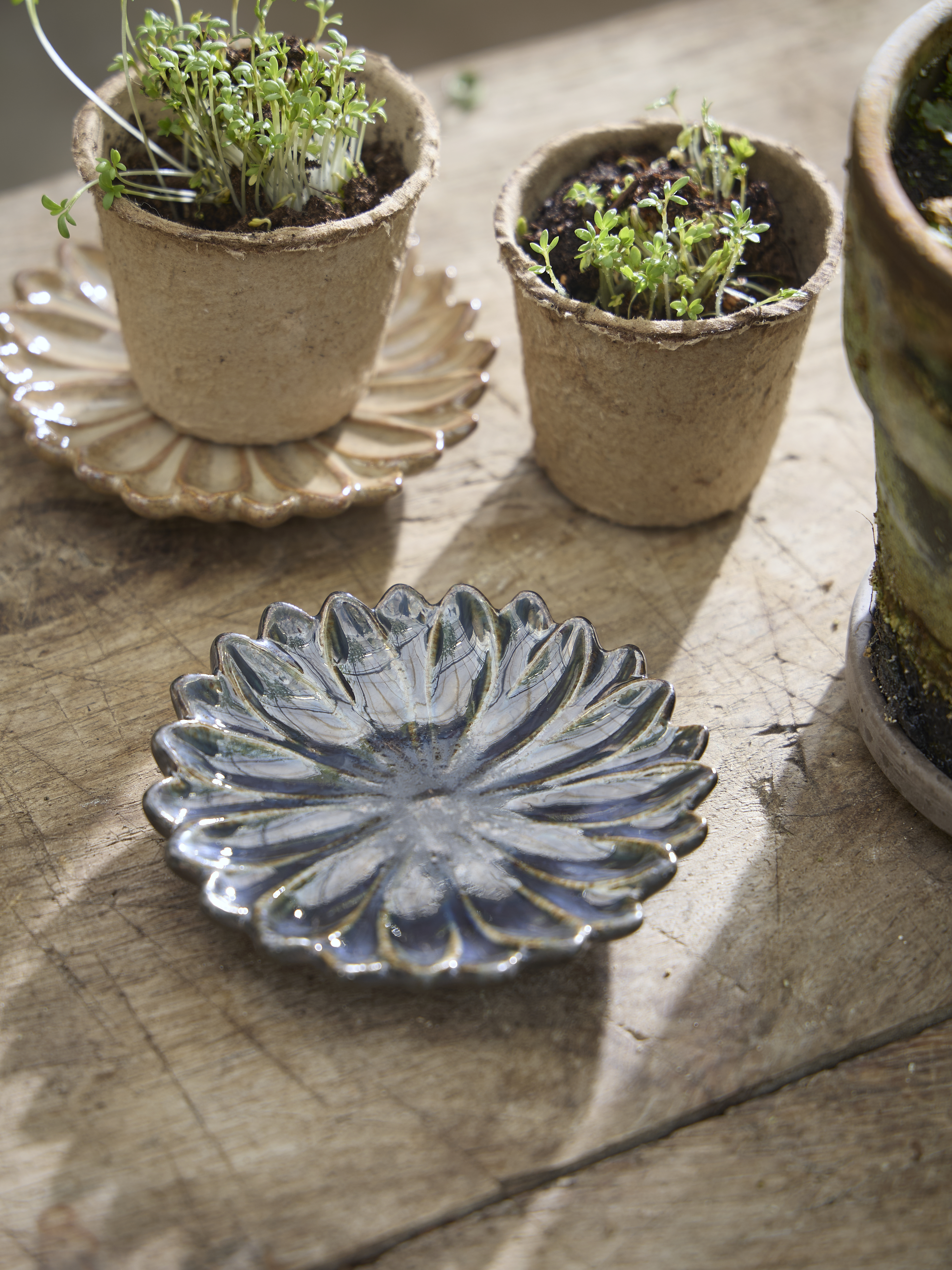 Spring Preparations Sostrene Grene Available From 5 March 2026 (52)