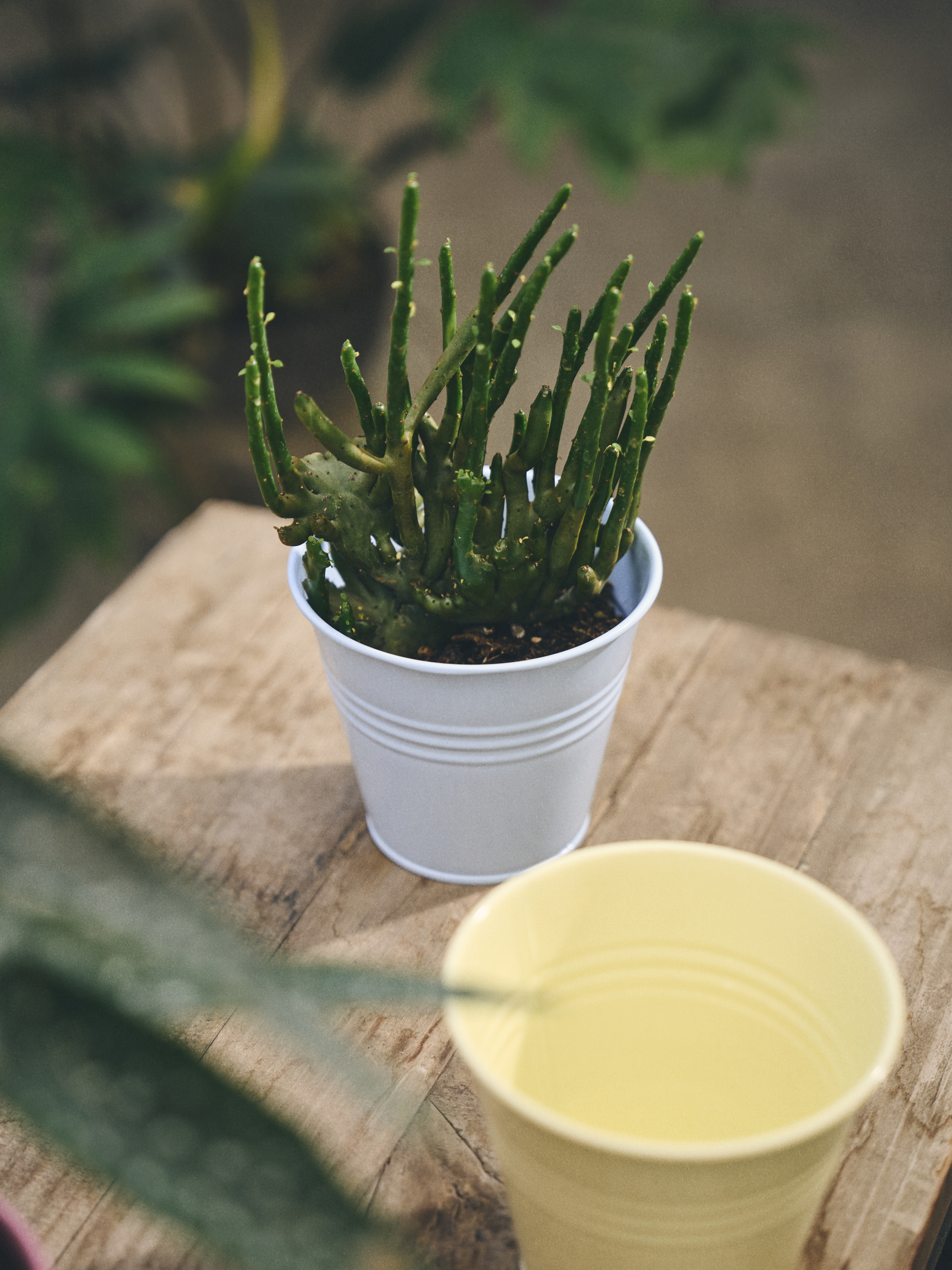 Available From 19 March 2026 Outdoor Living Sostrene Grene (32)