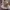 Christmas Table Sostrene Grene Available 6 November 2025 (10)