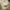 A Softer Reality Available From 27 August 2026 (99)