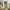 A Softer Reality Available From 27 August 2026 (33)