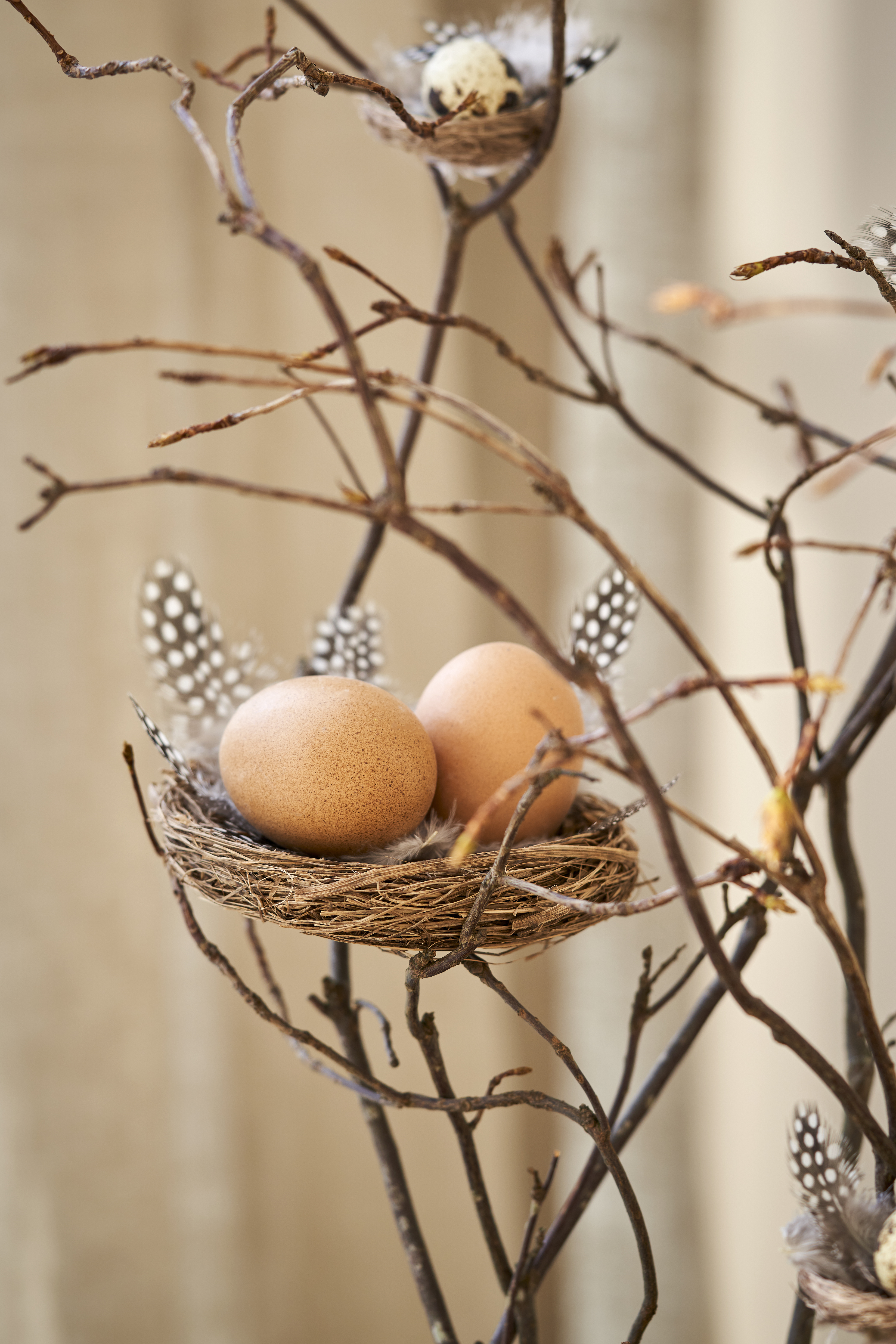 5 Decorative Easter Branches Easter At Sostrene Grene (6)