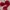 Christmas Gifts Children Sostrene Grene Available From 13 November 2025 (19)