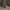 Sostrene Grene Christmas Preview Available From October 2026 (34)