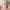 Sostrene Grene Marketing Images (21)