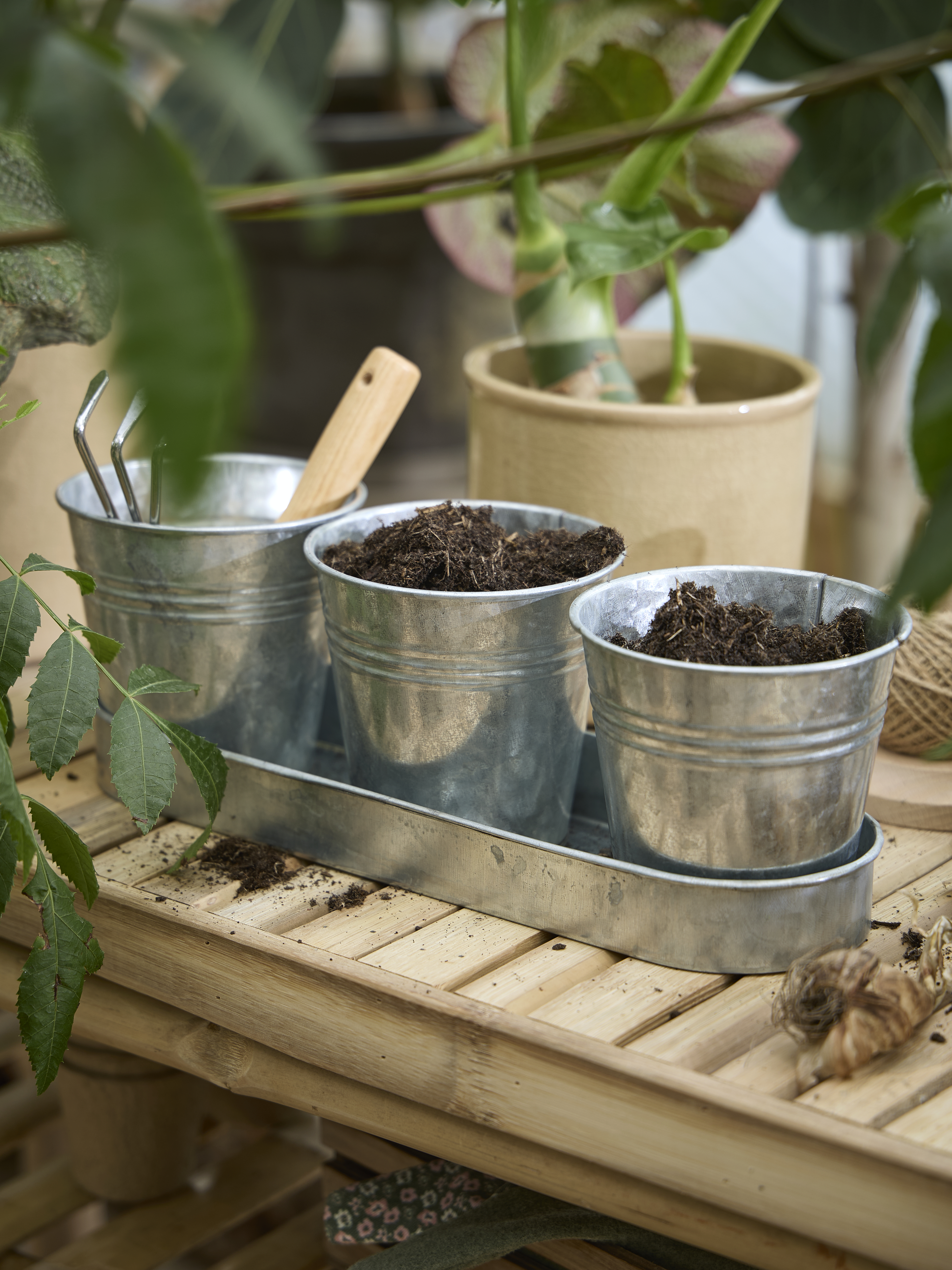 Available From 5 March 2026 Spring Preparations Sostrene Grene (14)